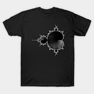 Mandelbrot 12-12-001 T-Shirt